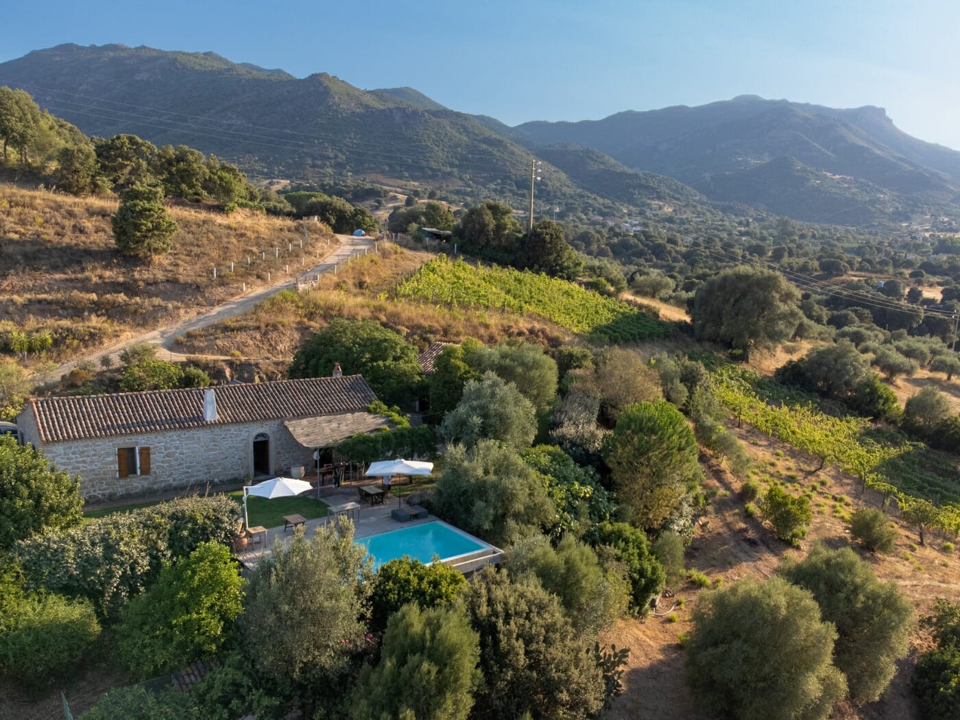 Home Olbia - Azienda Agricola La Ratina La Ratina-01-Azienda Agricola