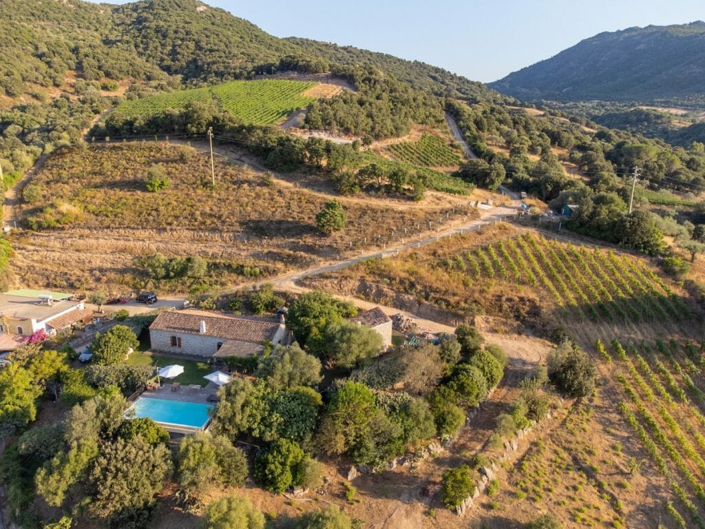 Home Olbia - Azienda Agricola La Ratina Home Olbia - Azienda Agricola La Ratina