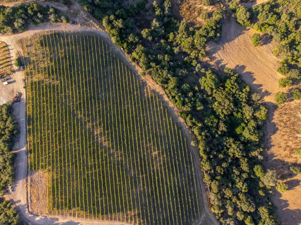 Azienda Agricola Olbia - Azienda Agricola La Ratina