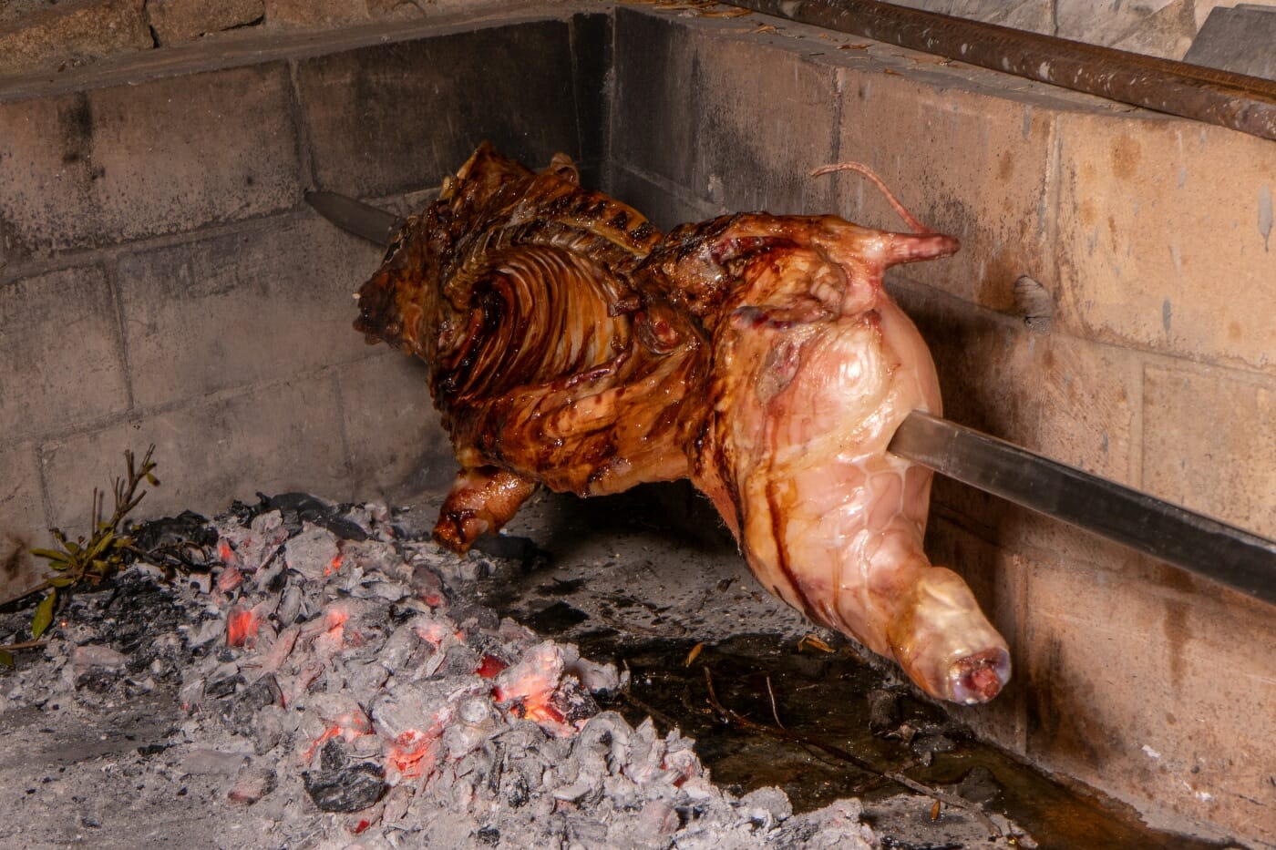 Home Olbia - Azienda Agricola La Ratina La Ratina-08-Azienda Agricola